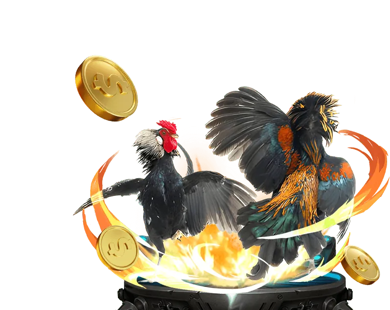 Đội ngũ hỗ trợ khách hàng 5pro win